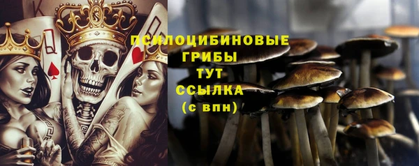ешки Майский