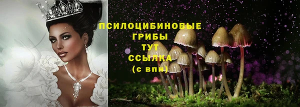 mix Магас
