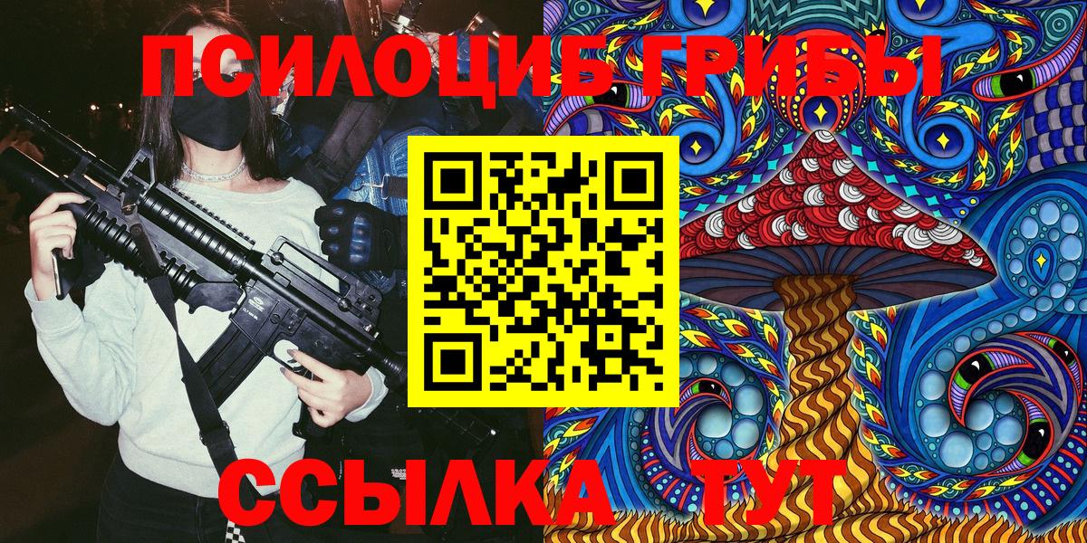 Галлюциногенные грибы Psilocybe Нефтеюганск
